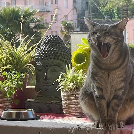 Pozzo Di Borgo Appartamento Ajaccio  Esterno foto