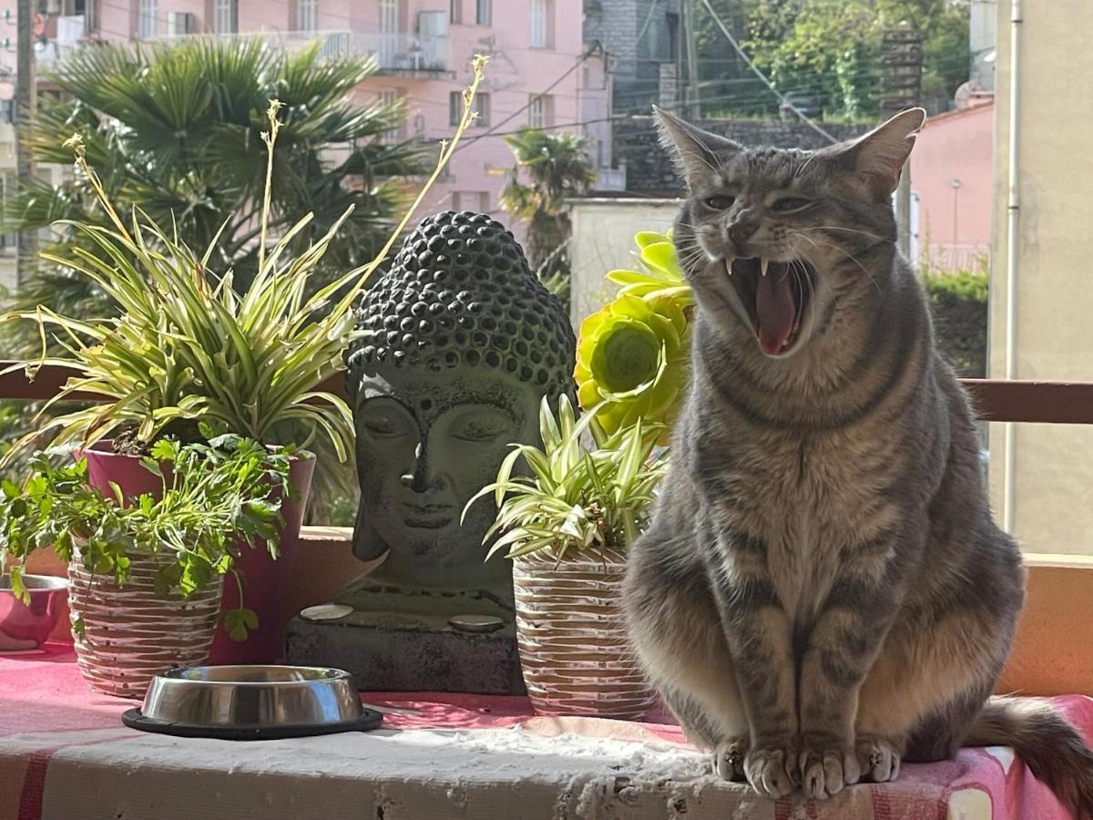 Pozzo Di Borgo Appartamento Ajaccio  Esterno foto