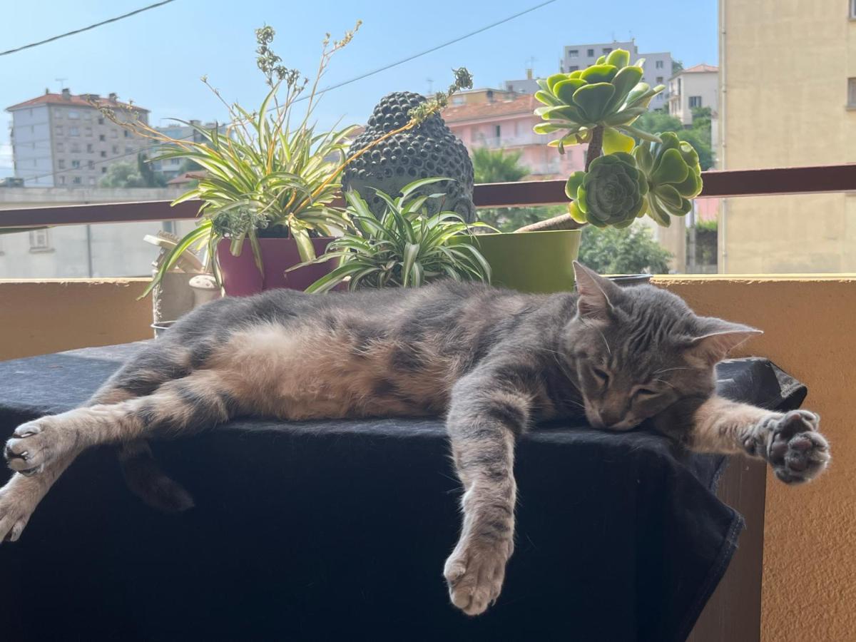 Pozzo Di Borgo Appartamento Ajaccio  Esterno foto